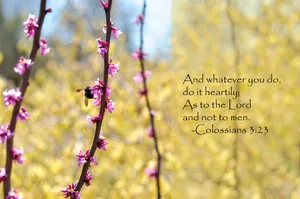 Colossians 2:23 Bible Verse Laptop Wallpaper