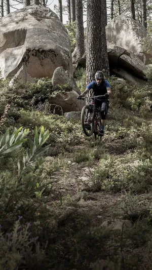 Conquer Any Terrain With A Mountain Bike And An Iphone Wallpaper