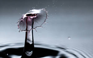 Cool 3d Water Forms Mushroom Wallpaper