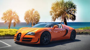 Cool Bugatti With Palm Trees Wallpaper