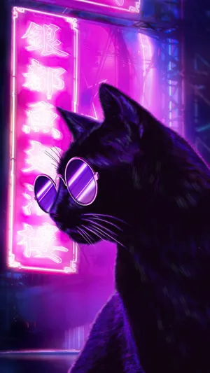 Cool Cat In Glasses - Dark Purple Iphone Background Wallpaper