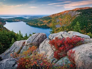 Cool Foliage New England Summer Wallpaper
