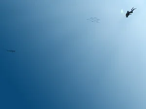 Cool Minimalist Diver Wallpaper