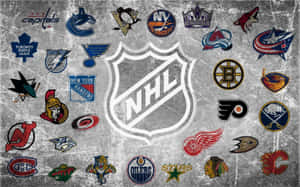 Cool Nhl Logo Gray Wallpaper