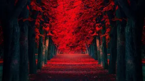 Cool Red Pc Computer Desktop Wallpaper