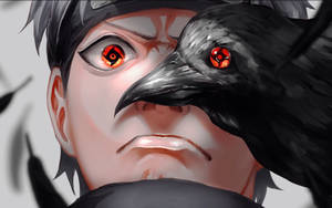 Cool Shisui Crow Sharingan Art Wallpaper