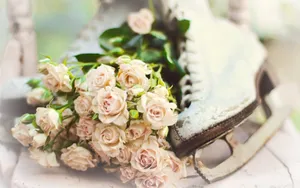 Cool Shoe Used Skate Wallpaper