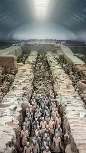 Cool Terracotta Warriors Sculptures Museum Wallpaper