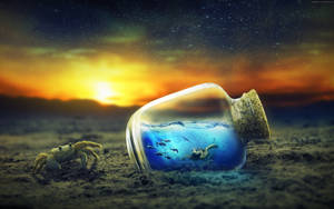 Cool Turtle Inside The Bottle Wallpaper