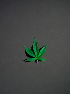 Cool Weed Grey Portrait Wallpaper