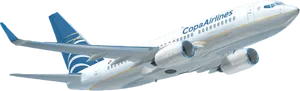 Copa Airlines Plane Flying Up Wallpaper