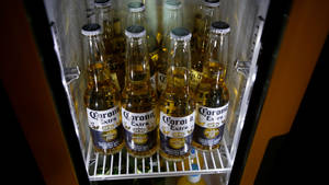 Corona Extra Beer In Fridge Wallpaper