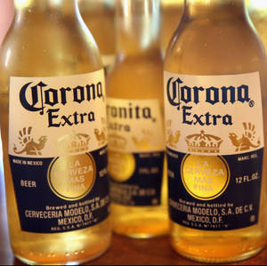 Corona Extra Mexican Brew Wallpaper