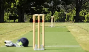 Country Cricket Ground Wallpaper