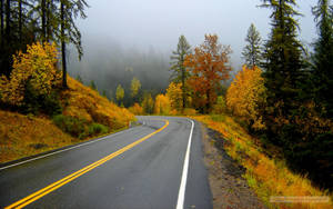 Country Road Curved Hillside Road Wallpaper