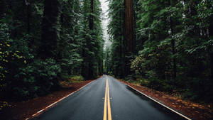 Country Road Soaked In Water Wallpaper