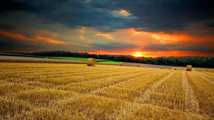 Country Summer Farm Sunset Wallpaper