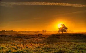 Countryside Sunset In Germany Wallpaper