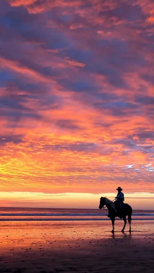 Cowboy On Seashore Wallpaper