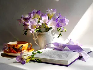 Cozy Up And Get Lost In A Good Book Wallpaper