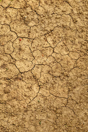 Cracked Dry Mud Soil Texture Wallpaper