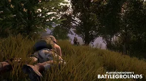 Crawling In The Grass Pubg Banner Wallpaper