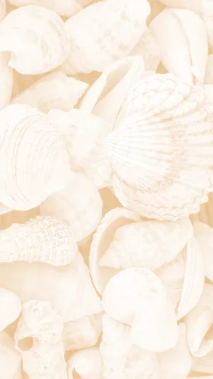 Cream Aesthetic Seashells Wallpaper