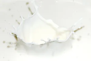 Creamy Dairy Milk Liquid Splatter Wallpaper