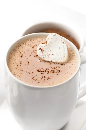 Creamy Hot Chocolate Marshmallow Wallpaper