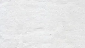 Creased Paper White Texture Wallpaper