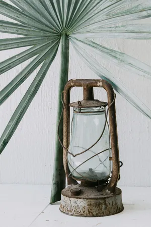 Create A Homely Feel With Vintage Green Aesthetic Wallpaper