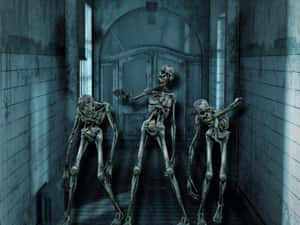 Creepy Halloween Skeleton In The Full Moon Light Wallpaper