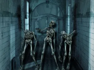 Creepy Halloween Skeleton In The Full Moon Light Wallpaper