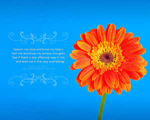 Crosscards Computer: Quality And Affordability In One Wallpaper