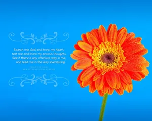 Crosscards Computer: Quality And Affordability In One Wallpaper