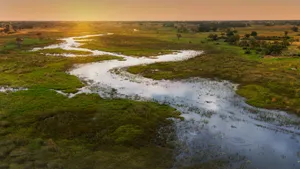 Curving Wetlands Of The Okavango Delta Wallpaper