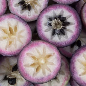 Cut In Half Chrysophyllum Cainito Wallpaper