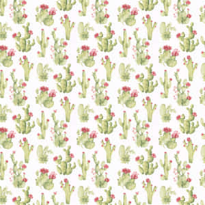 Cute Cactus Flower Wallpaper
