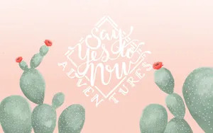 Cute Cactus Pink Art Wallpaper