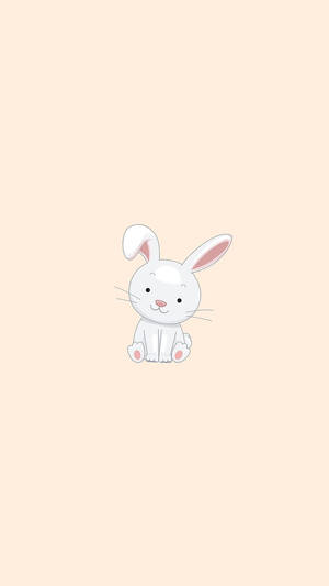 Cute Cartoon Bunny Animal Wallpaper