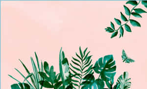 Cute Leaves Indoor Plants Wallpaper