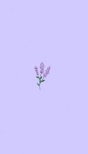 Cute Light Purple Lilac Wallpaper
