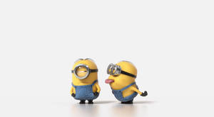 Cute Minion Dave Annoying Stuart Wallpaper