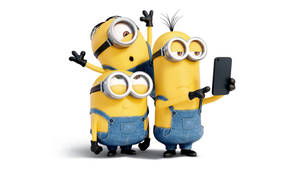 Cute Minion Groupie Picture Wallpaper