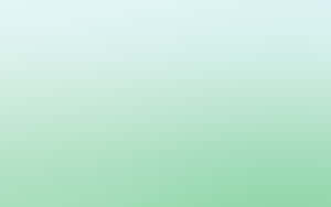 Cute Pastel Green Bare Color Wallpaper