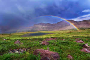 Cute Rainbow On Field Wallpaper