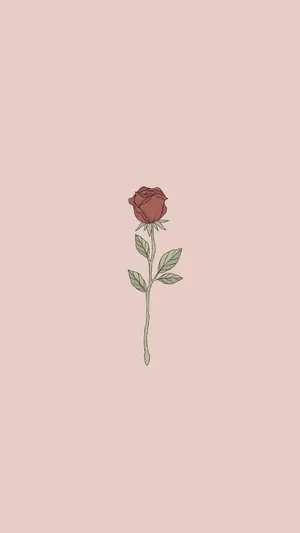 Cute Rose Aesthetic Phone Wallpaper