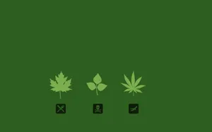 Cute Stoner Iphone Theme Wallpaper