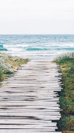 Cute Summer Beach Plank Bridge Wallpaper