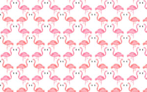 Cute Summer Desktop Pink Flamingos Wallpaper